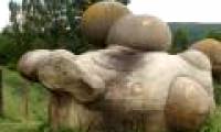 Amazingly the stone itself grew, bulging
