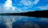 Amazon River 11 million years old