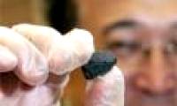 America divided rare meteors to study