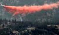 America: Forest fire burns 136 houses