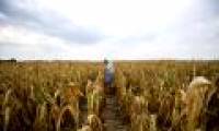 America: The most serious drought in nearly 60 years