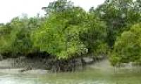 An island in Asia disappeared