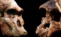 Analyzing cosmic matter, finding Earth's first human?