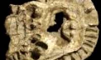 Ancient amphibians have large teeth