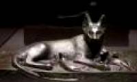 Ancient Egyptians lost their country because ... love cats so much