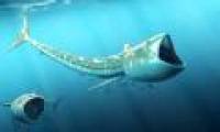 Ancient fish is half a meter long