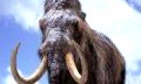 Ancient mammoth resurrection by cloning