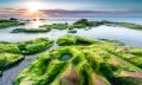Ancient moss species has been prepared for humanity to appear