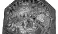 Ancient white sharks grow more slowly