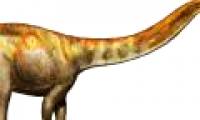 Animals push back dinosaurs to eat meat with a tail