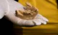 Announcing new concussions about human origin