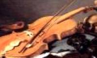 Announcing new discoveries about violin art