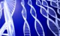 Announcing the largest cancer gene database