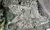 Another mystery of the sacred Mexican temple challenges the scientific world