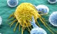 Answer 11 common questions about cancer