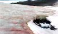 Antarctic snow ice is not only white