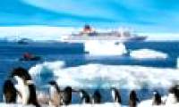 Antarctic temperatures are record high, reaching 17.5 degrees Celsius
