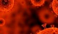Anti-HIV vaccine, a challenging search