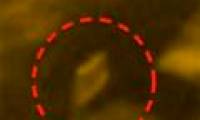 Appearance of UFOs on the surface of the Sun?