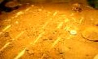Archaeological site of Lenggong valley