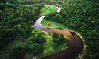 Archaeologists have discovered an ancient civilization beneath the Amazon rainforest.