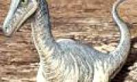 Arctic dinosaurs are only 20 years old