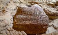 Are Archaeological Digs Still Going in in Qumran?