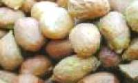 Are moldable foods removed, can you eat away the mold: 3 types of mustard must be thrown away