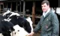 Argentina produces 'super milk' to prevent cancer