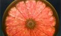 Art of painting fruit