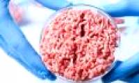 Artificial beef will be available in the market: Breakthroughs for vegetarians because they do not want to kill