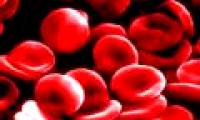 Artificial blood could become a reality?