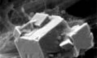 Artificial bones from umbilical cord stem cells