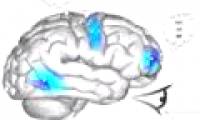 Artificial brains are capable of counting and reasoning