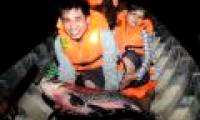 Artificial breeding of coral fish in red book
