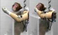 Artificial hands controlled by thought