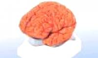Artificial human brain will be born in the next 10 years