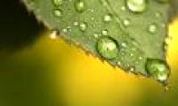 Artificial leaves can photosynthesis 'just like', both eliminating CO2 and creating both oxygen and fuel