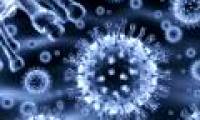 Artificial molecules enhance immunity against HIV virus