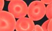 Artificial red blood cells