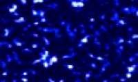 Astronomy with new fields: Dark matter