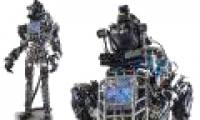 Atlas robot walks through the forest