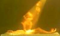 'Aura' of the living body is 'soul'