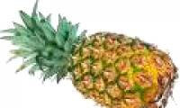 Australia breeds pineapples that are rich in vitamin C