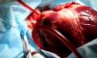 Baboons carry pig hearts for more than two years