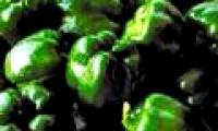 Bacteria are good for controlling germs
