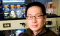 Bacteria destroy themselves to ... survive