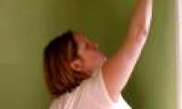Baits, wall paint cause blood cancer in young children?