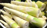 Bamboo shoots can provide a protein source similar to cow's milk