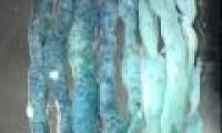 Be careful about stem cell therapy